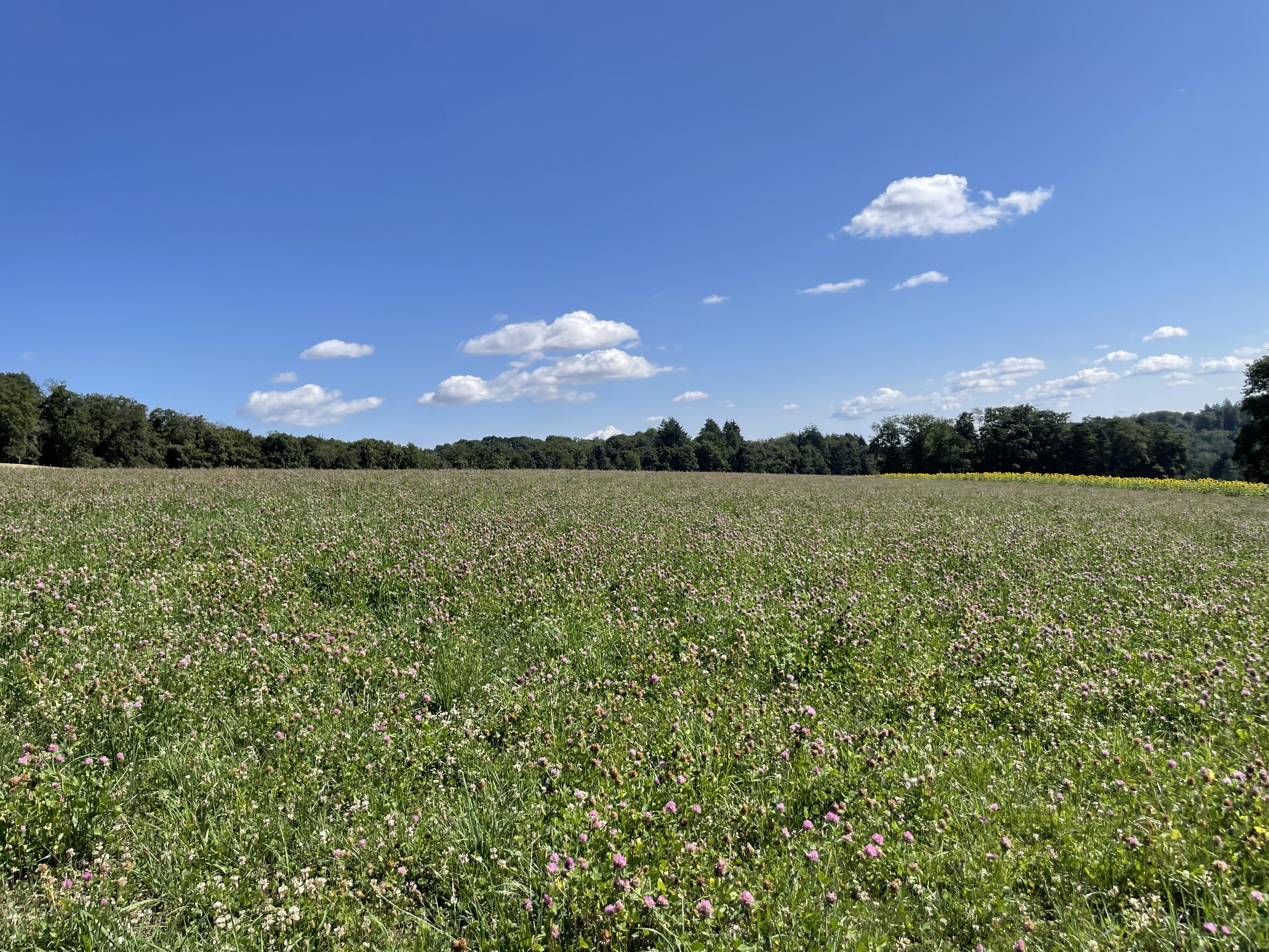 Domaine agricole à vendre - Image# 3