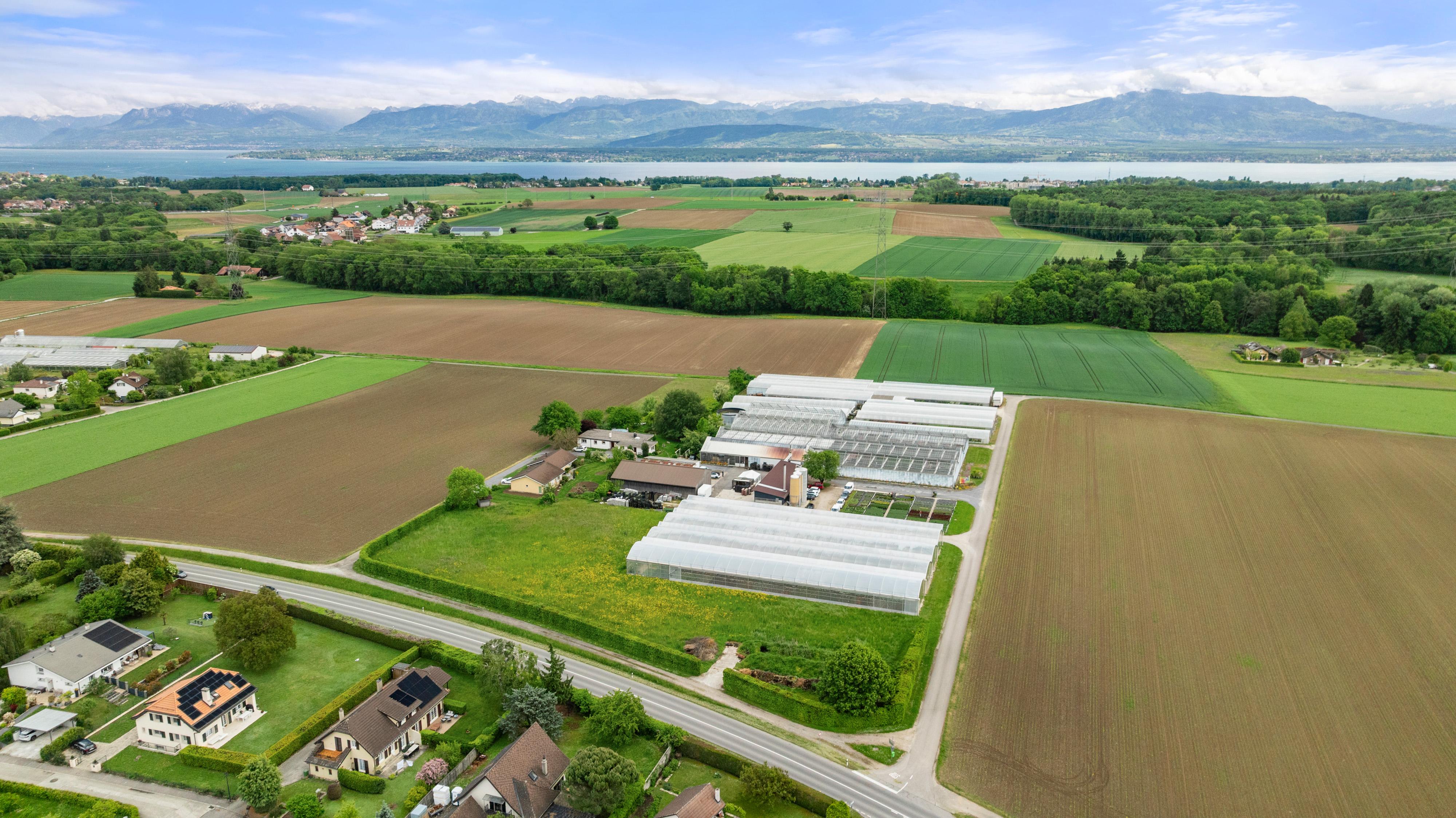 Verkauf eines führenden Gartenbaubetriebs in der Westschweiz - Image# 1
